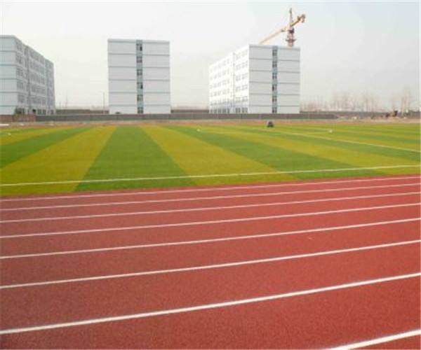 1640143744575457.jpg q1.jpg