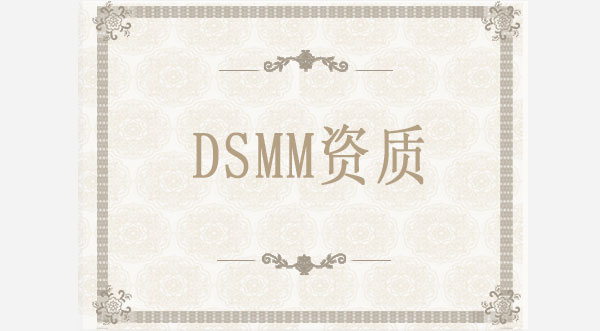 DSMM數(shù)據(jù)安全能力成熟度模型 DSMM數(shù)據(jù)安全能力成熟度模型