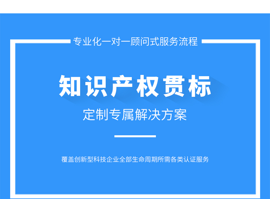 知識(shí)產(chǎn)權(quán)貫標(biāo)_05 知識(shí)產(chǎn)權(quán)貫標(biāo)_05